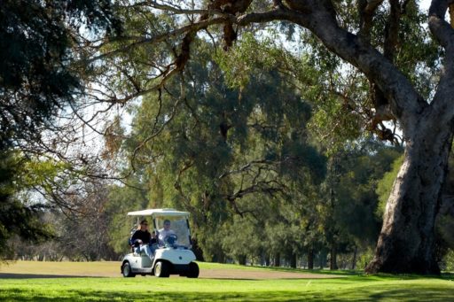 golf in buggy